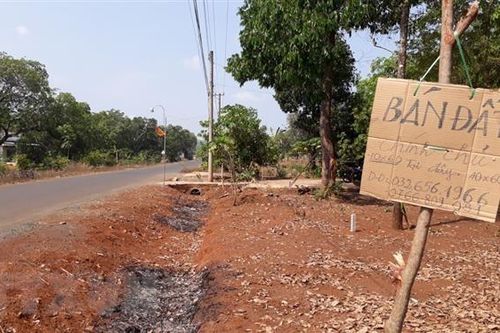 Savills Việt Nam: Nhà đầu tư cần tỉnh táo trước những cơn 'sốt đất'