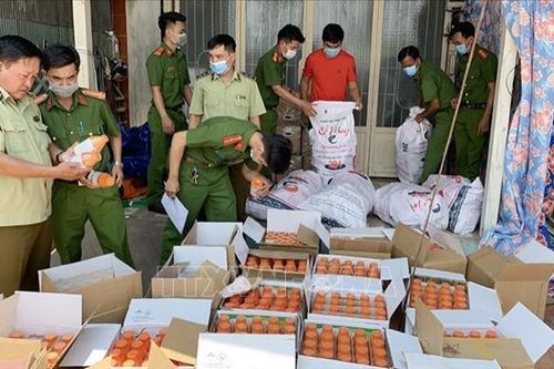 Phát hiện điểm tập kết số lượng lớn thuốc bảo vệ thực vật nghi nhập lậu