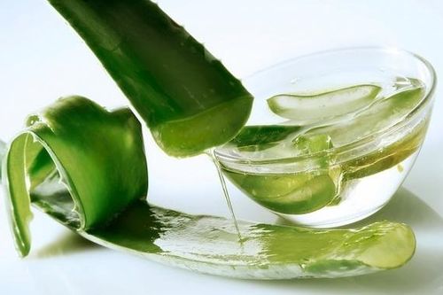 Nha đam, dầu dừa: 'Thần dược' chữa nám da