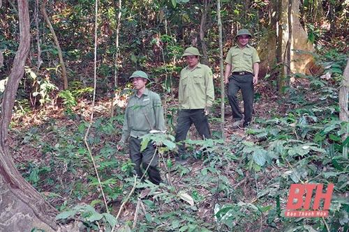 Bảo vệ rừng vùng giáp ranh huyện Như Xuân với tỉnh Nghệ An
