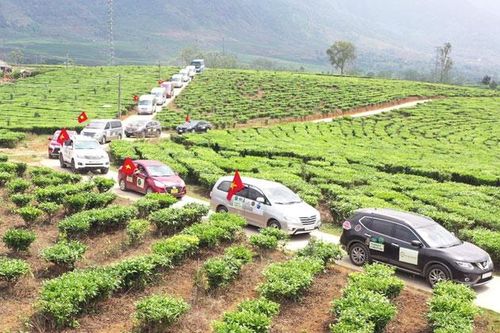 Những hình thức du lịch phù hợp khi mở cửa đón khách quốc tế