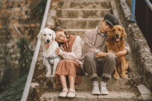Đôi uyên ương chụp ảnh cưới cùng cún cưng ở Đà Lạt