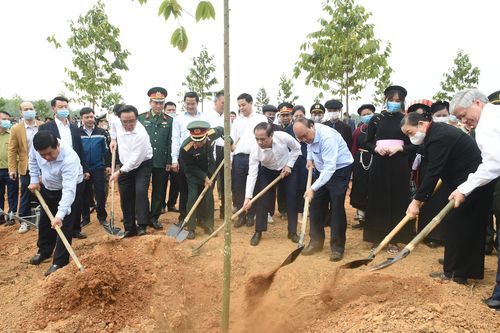 Tăng cường bảo vệ, phát triển rừng ngay từ đầu năm 2021