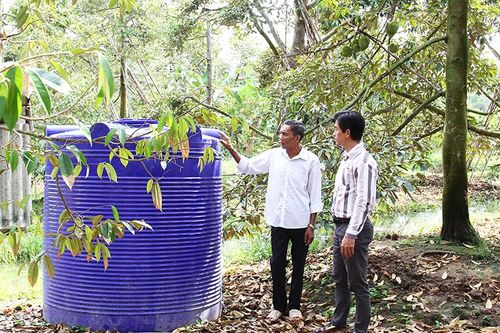Ứng phó biến đổi khí hậu tại đồng bằng sông Cửu Long