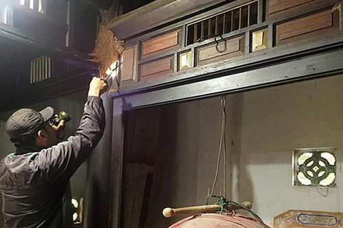 Nguy cơ mối mọt xâm hại phố cổ Hội An