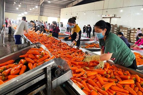 Hải Dương trở lại trạng thái bình thường mới
