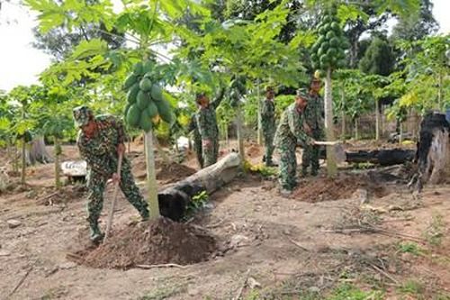 Sức trẻ dựng xây đơn vị