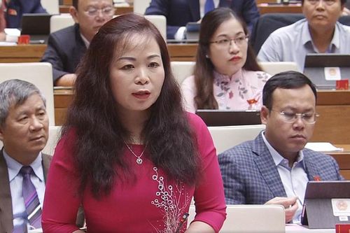 Đại biểu Quốc hội tự hào về nhiệm kỳ Chính phủ nhiều ấn tượng