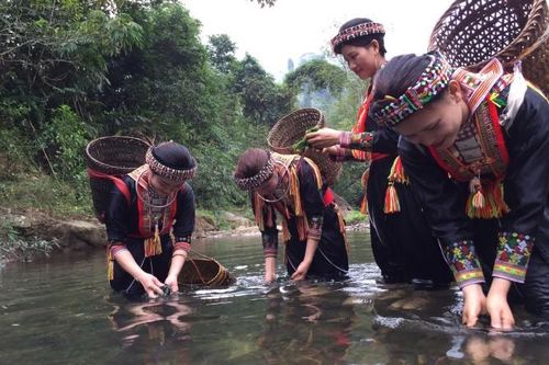 Rêu đá, cực phẩm trời ban từ miền 'đất ngọc'