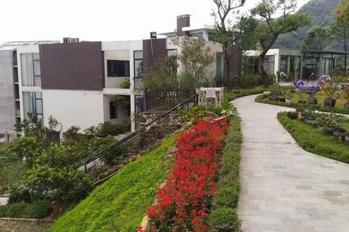 Chủ mới khu biệt thự Tam Đảo liên quan Trịnh Xuân Thanh kháng cáo xin giữ lại đất