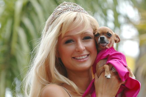 Paris Hilton mạnh tay chi 350 ngàn USD xây biệt thự cho cún cưng