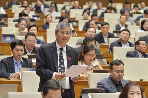 ĐBQH Nguyễn Anh Trí: Lãnh đạo Đảng, Nhà nước bạc tóc lo cho dân