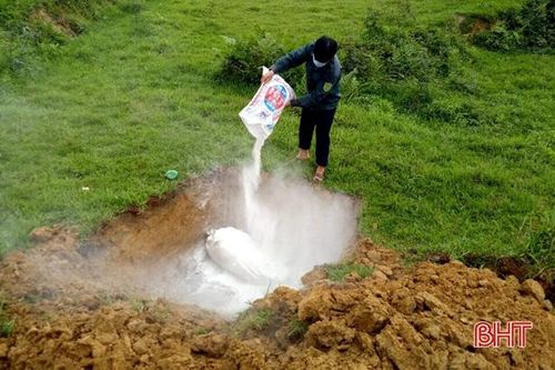 Hương Sơn rốt ráo phòng chống dịch bệnh 'kép' trên trâu bò, lợn