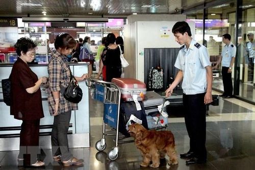Hải quan bắt giữ hơn 3.000 vụ việc vi phạm thương mại trong tháng Ba
