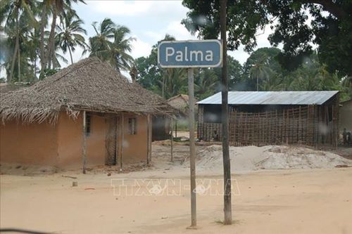 Bất ổn ở Bắc Mozambique: Chưa có công dân Việt Nam nào bị đe dọa tính mạng