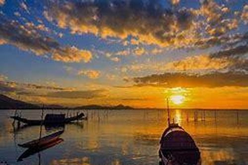 Doanh nghiệp du lịch Huế chung tay làm sạch rừng ngập mặn trên Phá Tam Giang