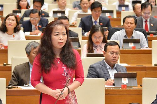 Đề nghị Chính phủ quan tâm hơn việc huy động vốn ngoài ngân sách cho phát triển