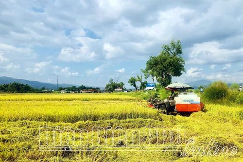 Ðể nâng cao giá trị sản xuất nông nghiệp