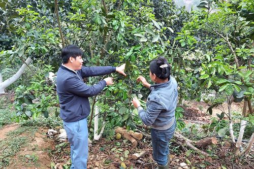 Phát huy vai trò nêu gương của cán bộ, đảng viên