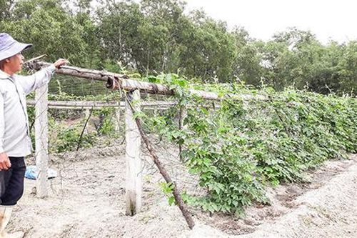Không ngừng nâng cao mức sống cho người dân Triệu Phong