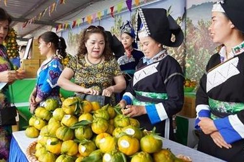 GDP quý I/2021 ước tính tăng 4,48%