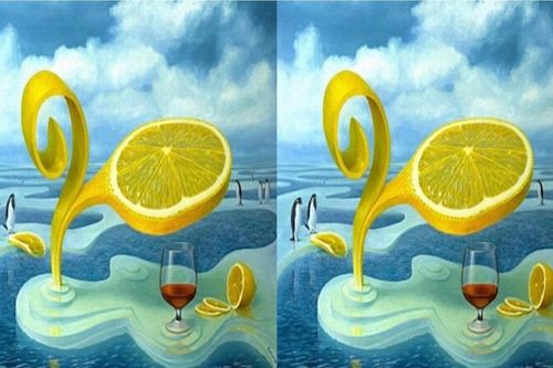 Trắc nghiệm vui: Trực giác của bạn có tốt không?
