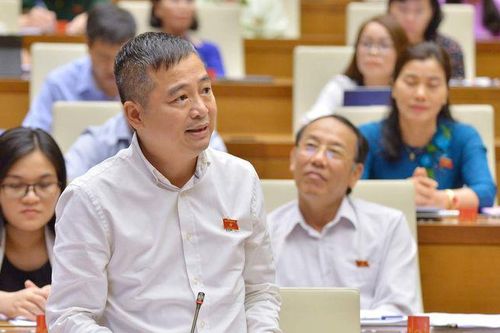 ĐB Nguyễn Lân Hiếu: Tư duy nhiệm kỳ làm kiến nghị giá trị bị rơi vào quên lãng