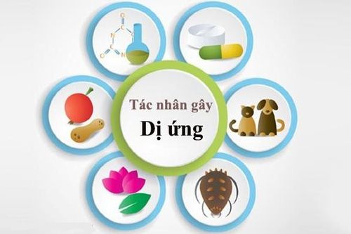 Tác nhân gây dị ứng thường gặp