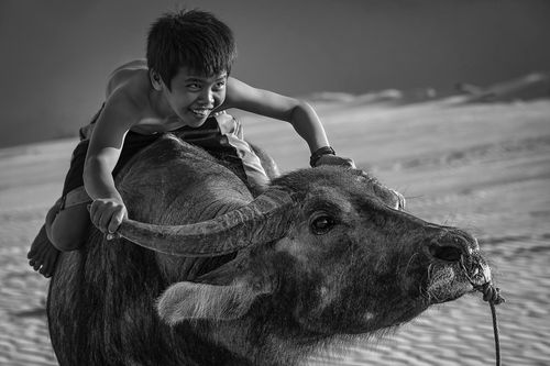 Mỗi câu chuyện đời ẩn sau những nụ 'Cười'