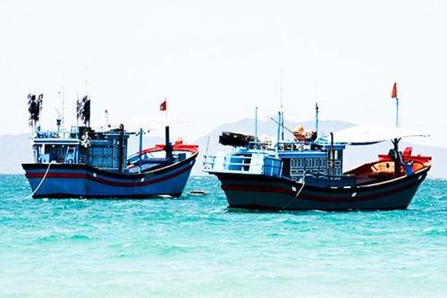 Xử lý nghiêm tàu cá khai thác hải sản bất hợp pháp