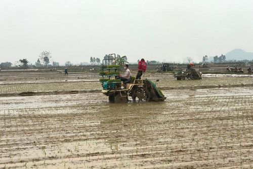 Phát triển kinh tế nông thôn, nâng cao đời sống vật chất, tinh thần của nông dân