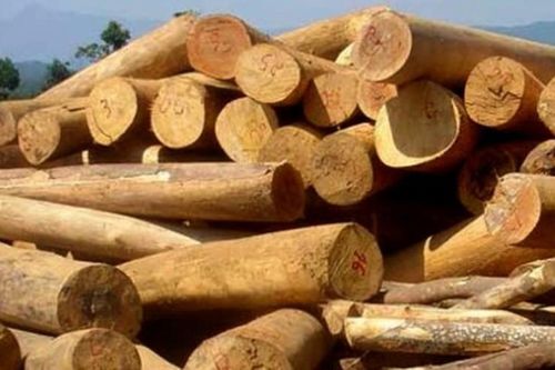Quý I, ngành gỗ và lâm sản xuất siêu 3,248 tỷ USD