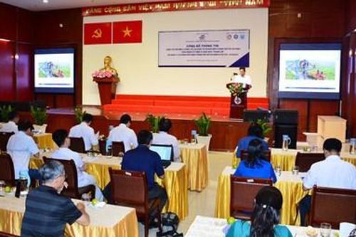 Thi ảnh đẹp, sáng tác ca khúc về ngành điện Thành phố mang tên Bác