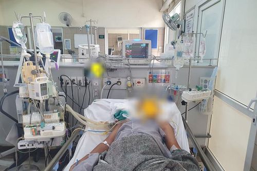 Ngư dân đi biển ngừng tim vì ăn cua mặt quỷ