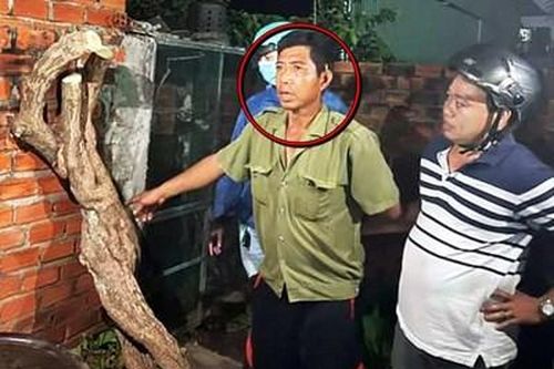 Bắt được kẻ gian cưa trộm cây hoa giấy 20 năm tuổi tại Vũng Tàu