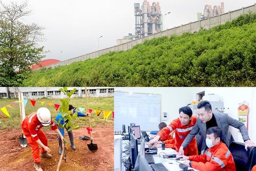 Tuổi trẻ Công ty CP Xi măng Sông Lam góp sức 'Vì một Việt Nam xanh'