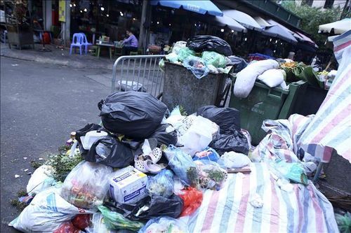 Phạt nguội một cá nhân ở Đà Lạt đổ rác sai nơi quy định