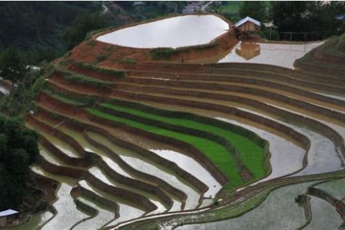 Mù Cang Chải - Điểm đến đẹp bậc nhất thế giới mà bạn không nên bỏ lỡ