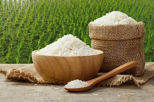Giá lúa gạo hôm nay 30/3: Giá lúa đồng loạt giảm mạnh