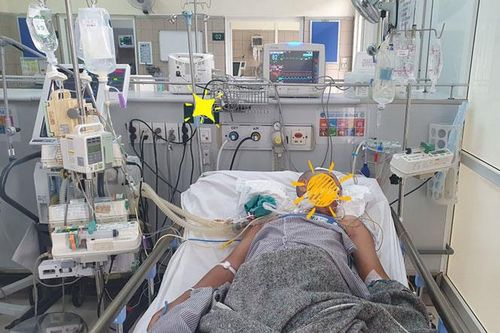 Một ngư dân ngừng tim do ngộ độc sau khi ăn cua mặt quỷ