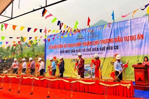 Khởi công xây dựng nhà máy chế biến quế hữu cơ