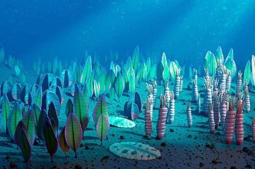Gene 'quái vật biển' 500 triệu năm tồn tại ở người