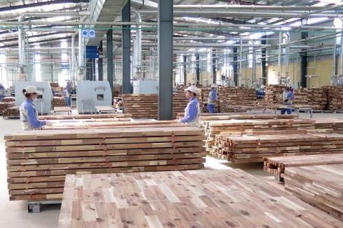Chưa có quy định thế nào là 'gỗ hợp pháp' trong mua sắm công ở Việt Nam