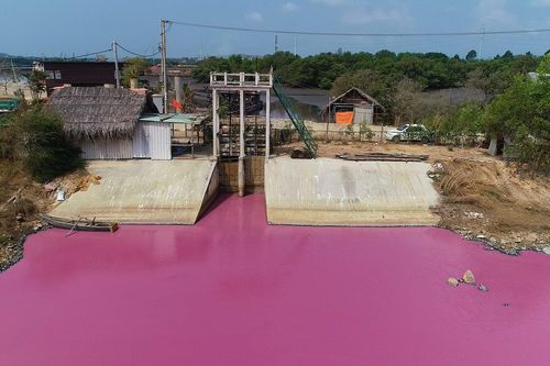 Nước thải xả ra đầm nước đổi màu hồng vượt quy chuẩn hiện hành