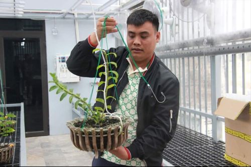 Thực hư lan 250 tỷ ở Quảng Ninh, công an nói gì?