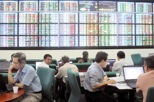 Chứng khoán không dành cho nhà đầu tư tay ngang: Cú sốc của nhà đầu tư F0