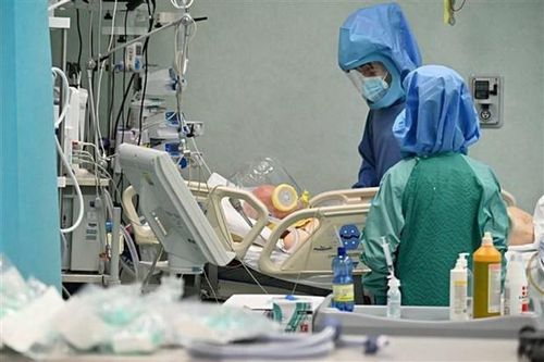 Tế bào T 'sát thủ' - Hy vọng trong cuộc chiến chống dịch COVID-19