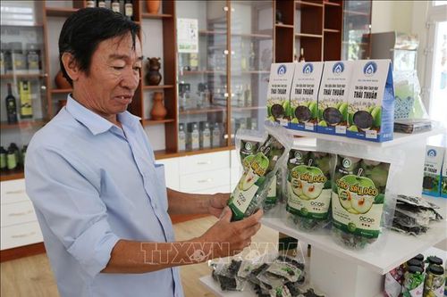 Phát triển sản phẩm chế biến từ quả táo Ninh Thuận