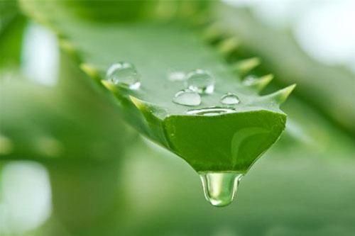 Thực phẩm giúp vòng 1 săn chắc, căng đầy