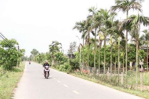Trung Hải phát triển kinh tế gắn với xây dựng nông thôn mới kiểu mẫu